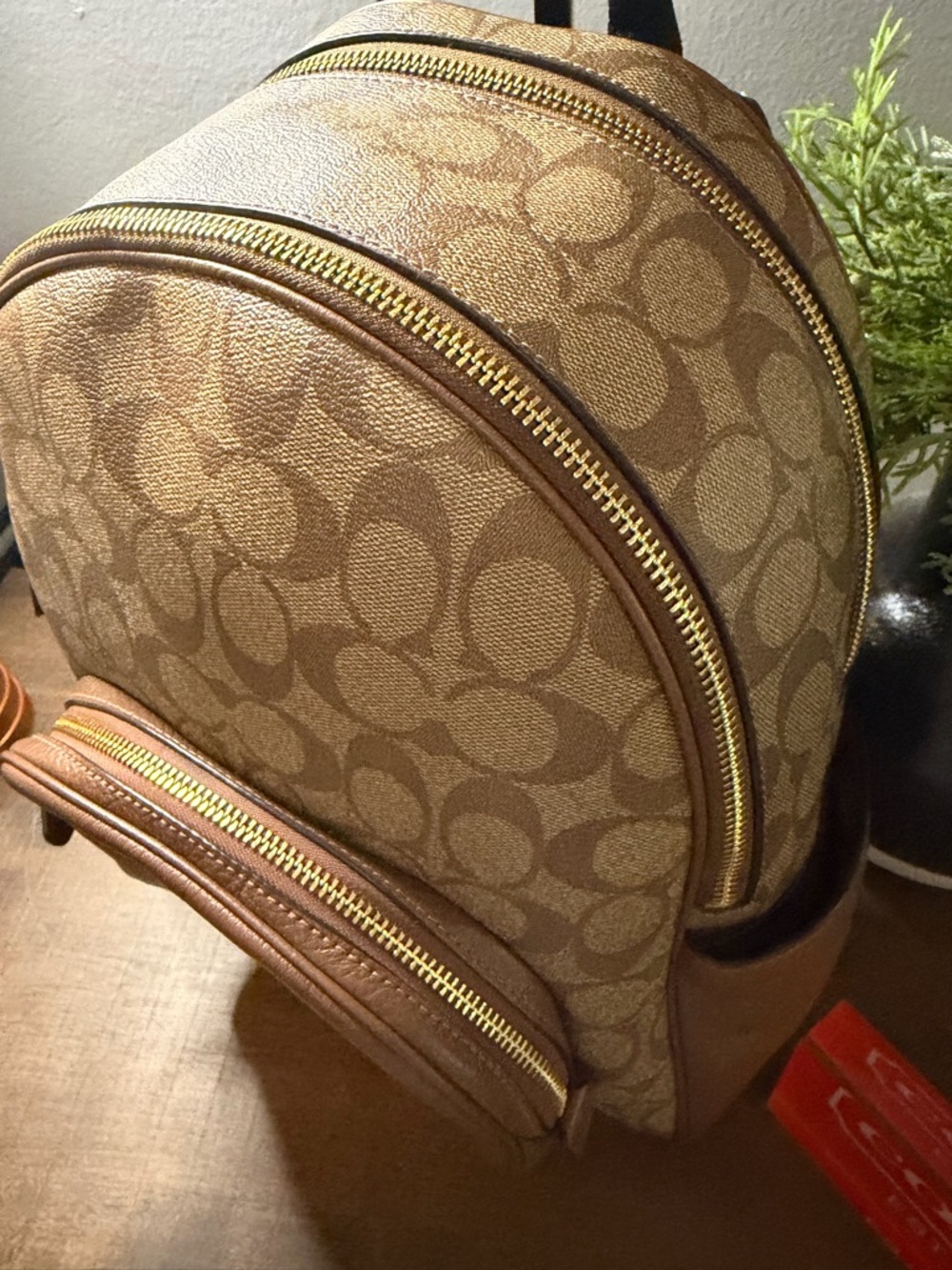 Coach Court Signature Backpack - Picture 4 of 16